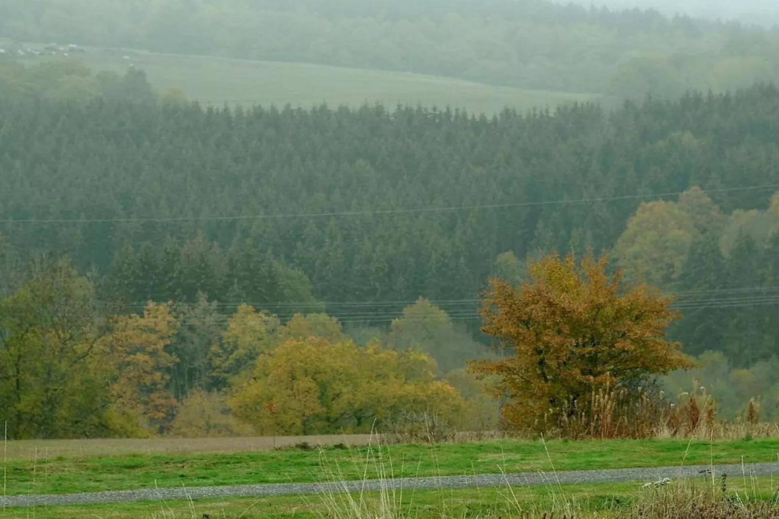 Eifelpark 9 - Gebieden zomer 20km