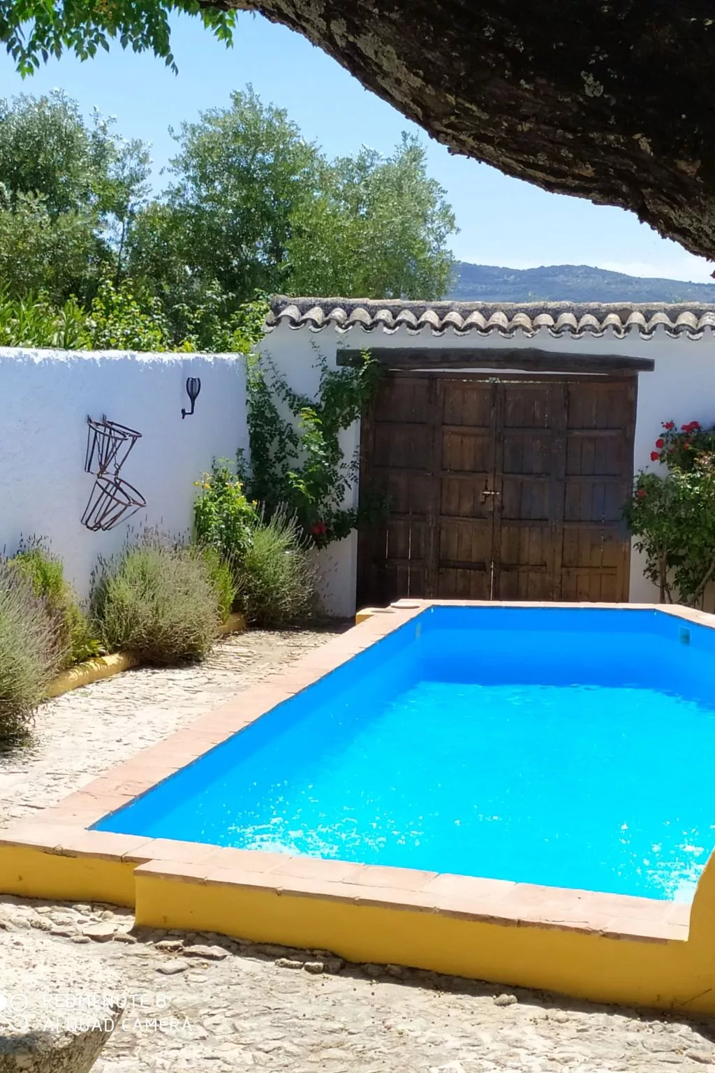 Finca "Molino" mit privatem Pool - Buiten