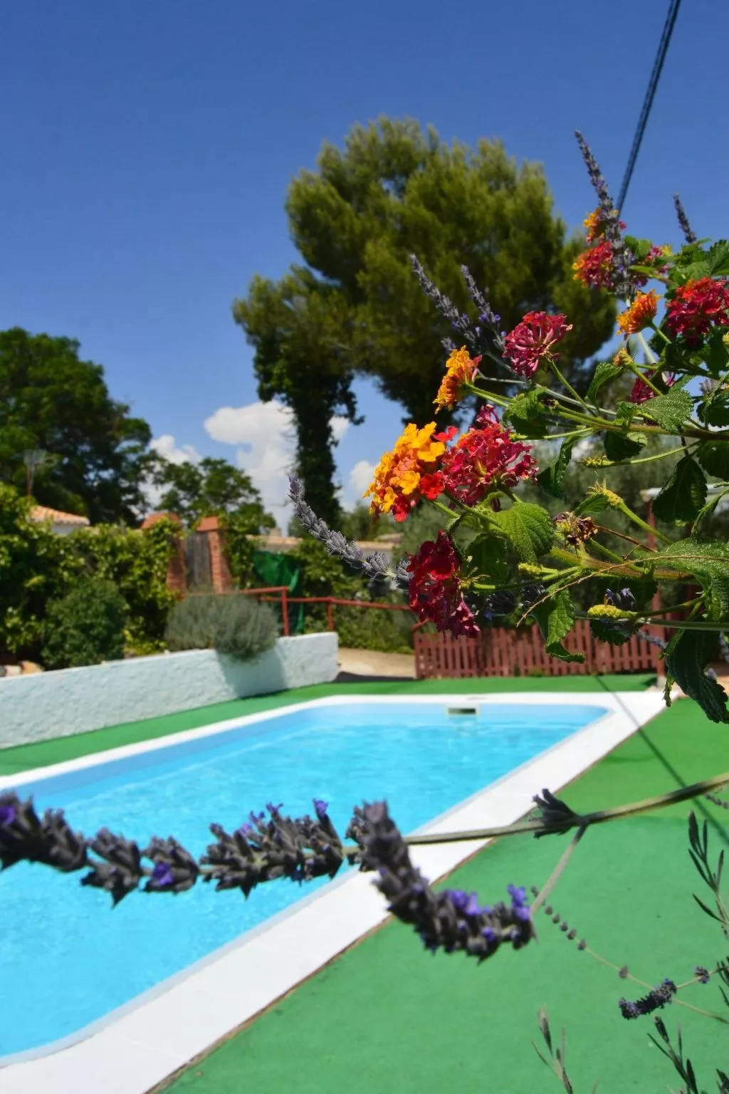 Finca "Casa Vieja" mit Bergblick - Image-tags.info