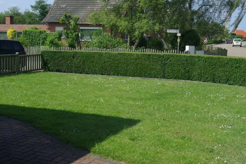 481920