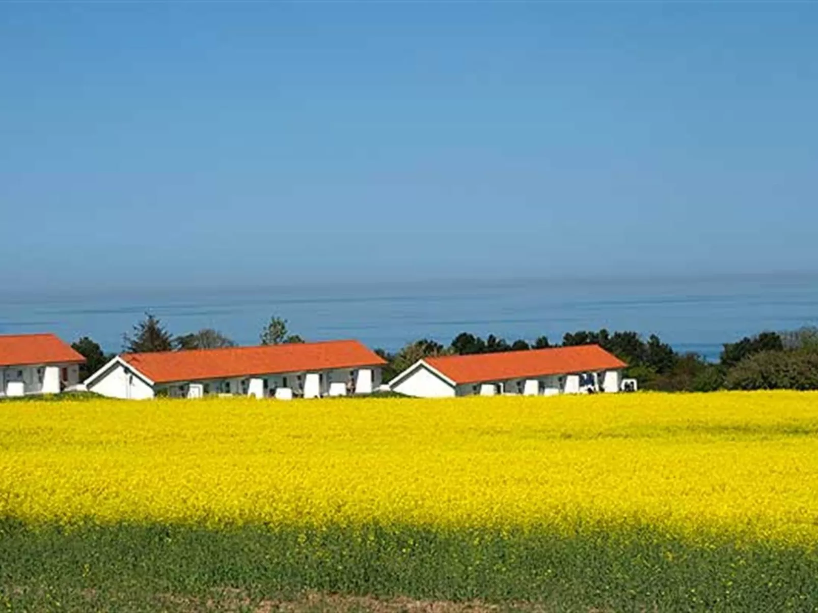 "Folki" - 300m from the sea - Buiten