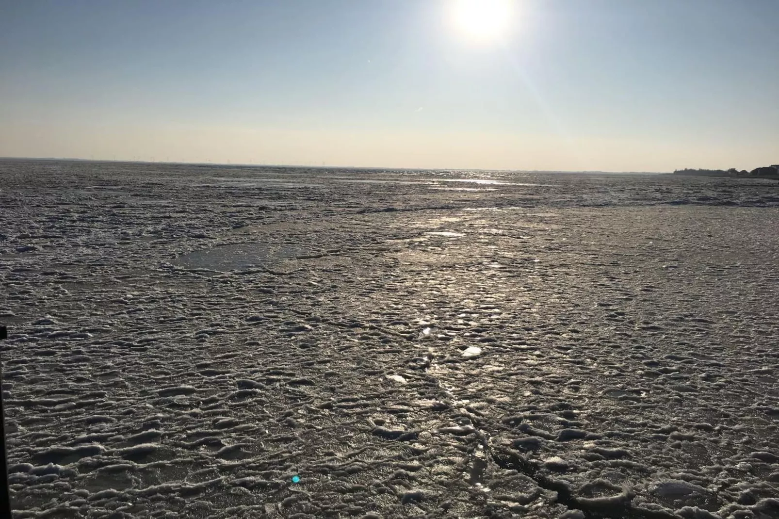 237207 - Gebieden zomer 5km
