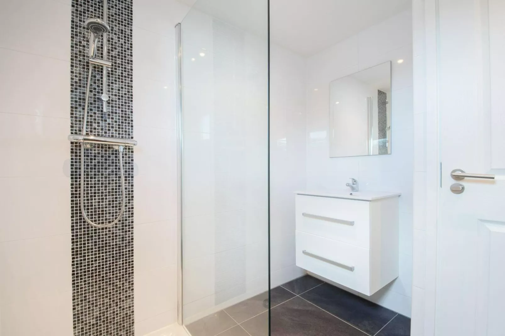 De Edammer  4 personen - Badkamer