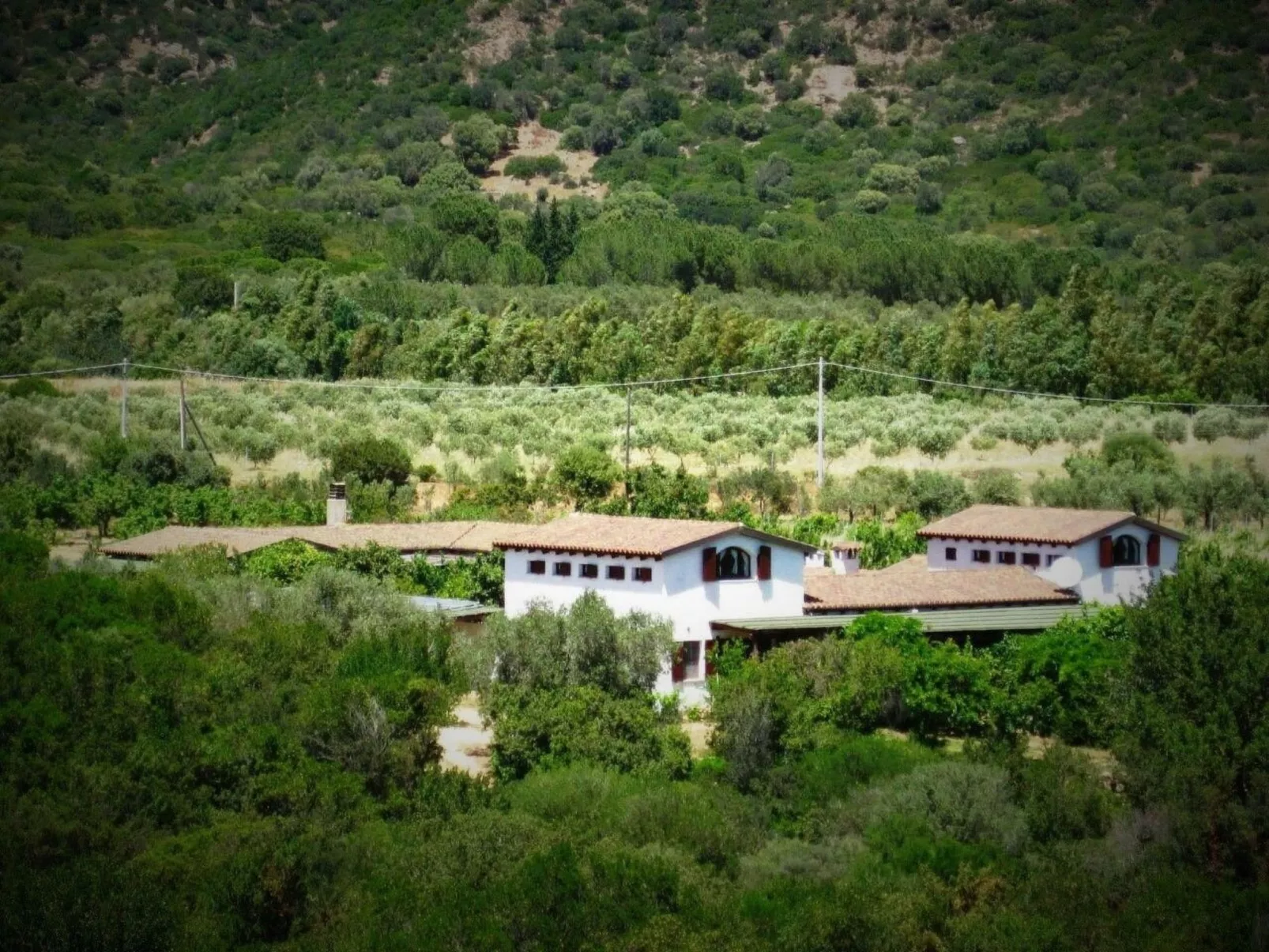 Tenuta "Carrubo" mit Wandkasten - Image-tags.info