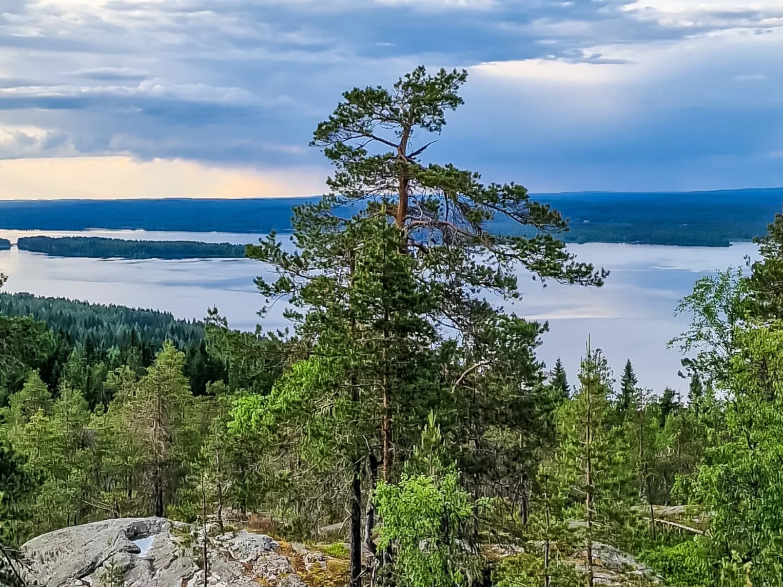Villa savonia - Binnen