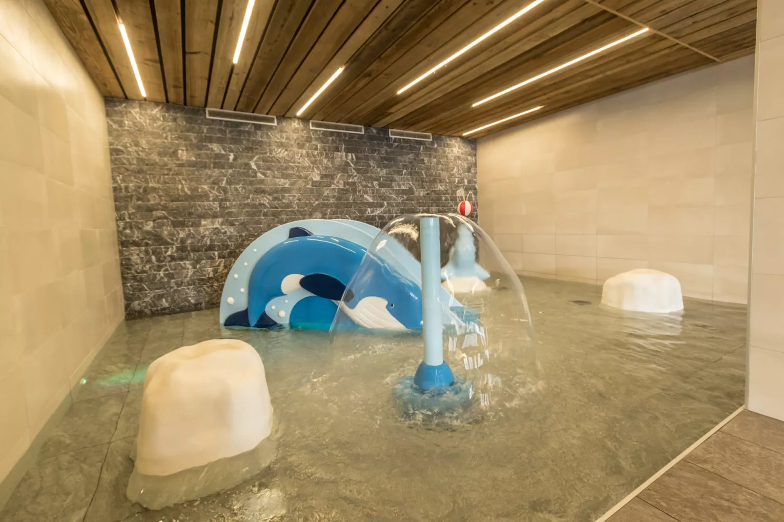 Chalet Altitude Arc 2000 4 - Wellness