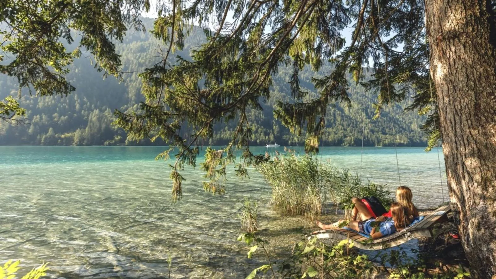 Reiteralm Top 35 - Gebieden zomer 20km