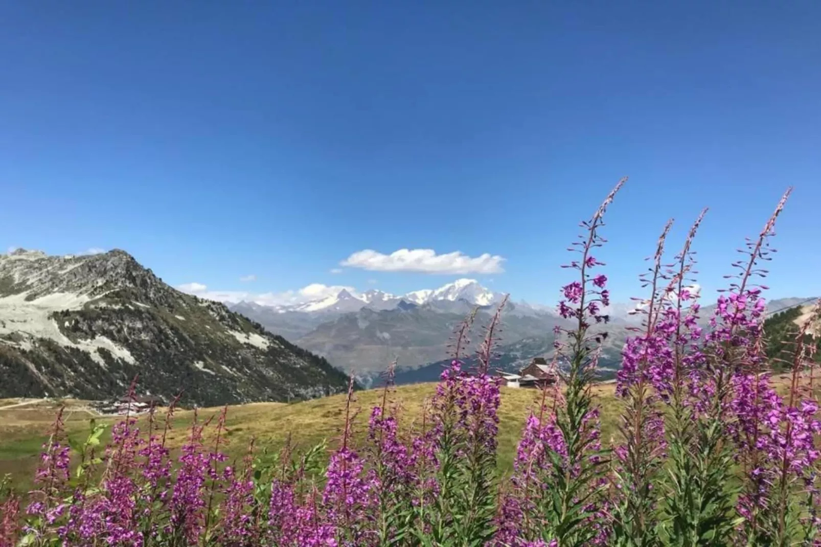 Chalet Altitude Arc 2000 4 - Gebieden zomer 20km