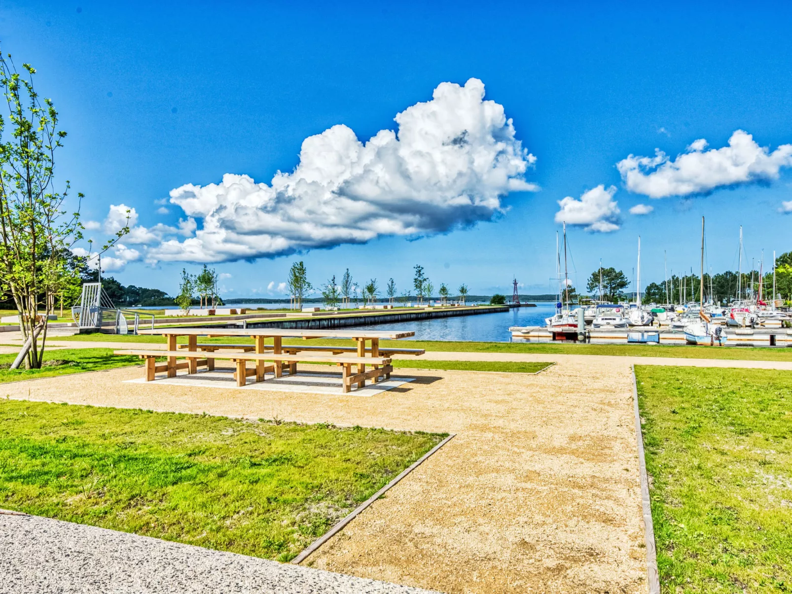 Hibiscus 10 - Omgeving