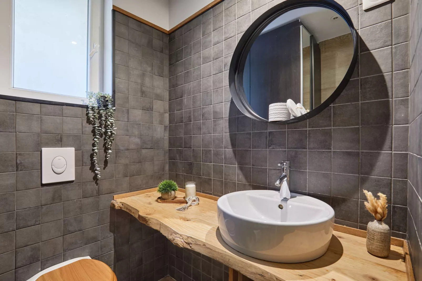 SEDAINE NEW - Niet-getagd