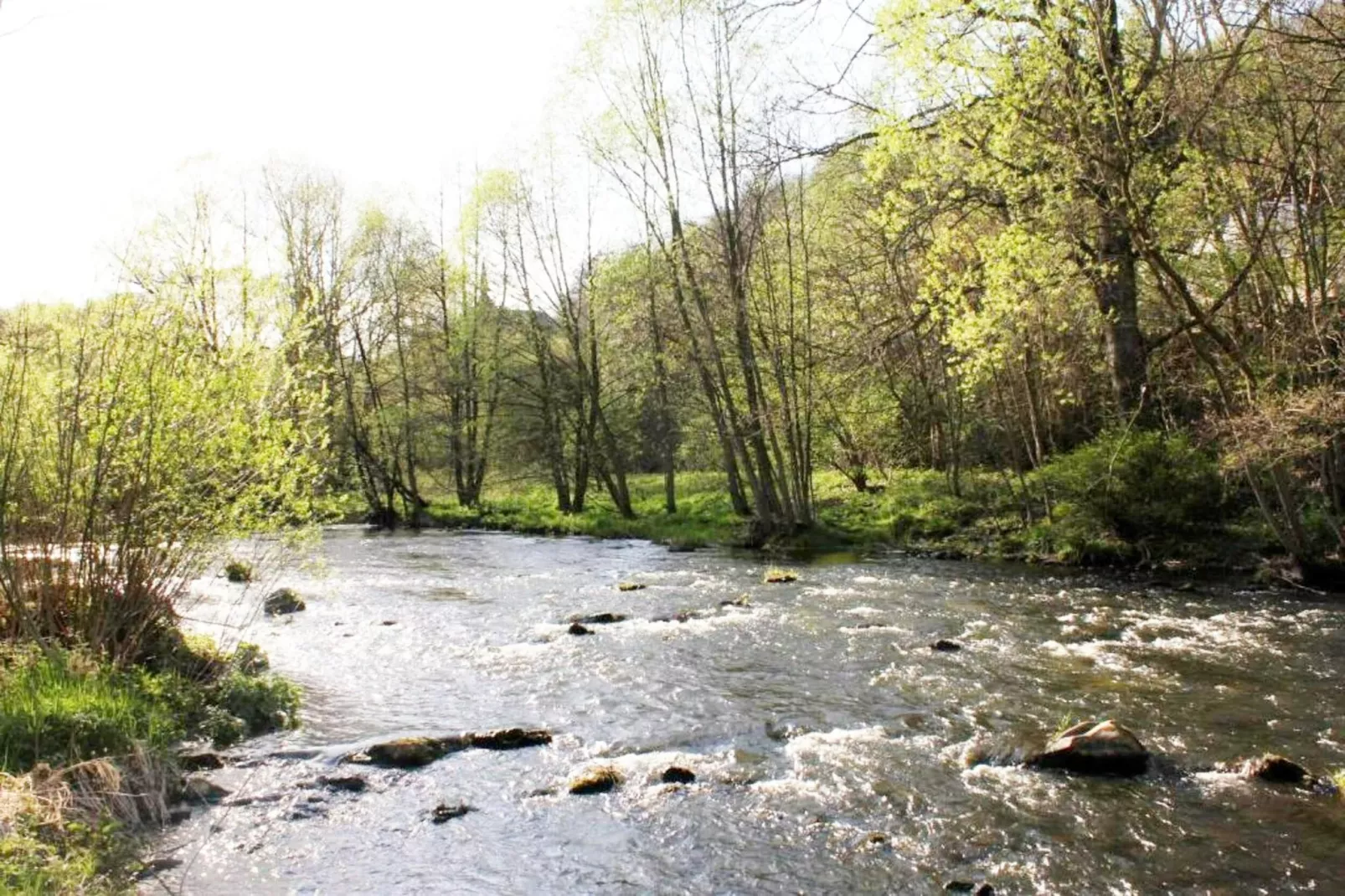Modernes FERIENHAUS ALLRODE mit Wellness - Gebieden zomer 1km