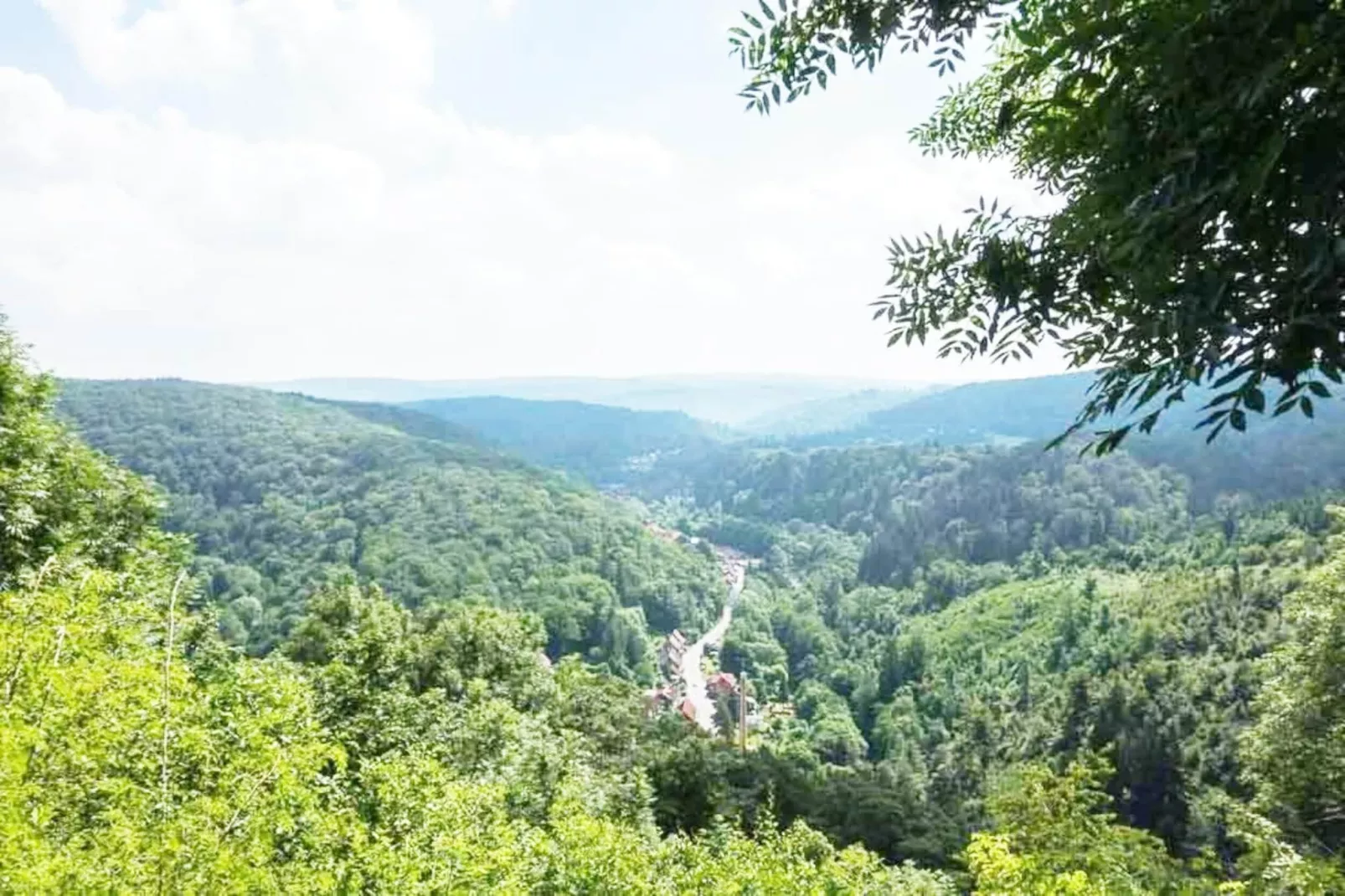 Modernes FERIENHAUS ALLRODE mit Wellness - Gebieden zomer 1km