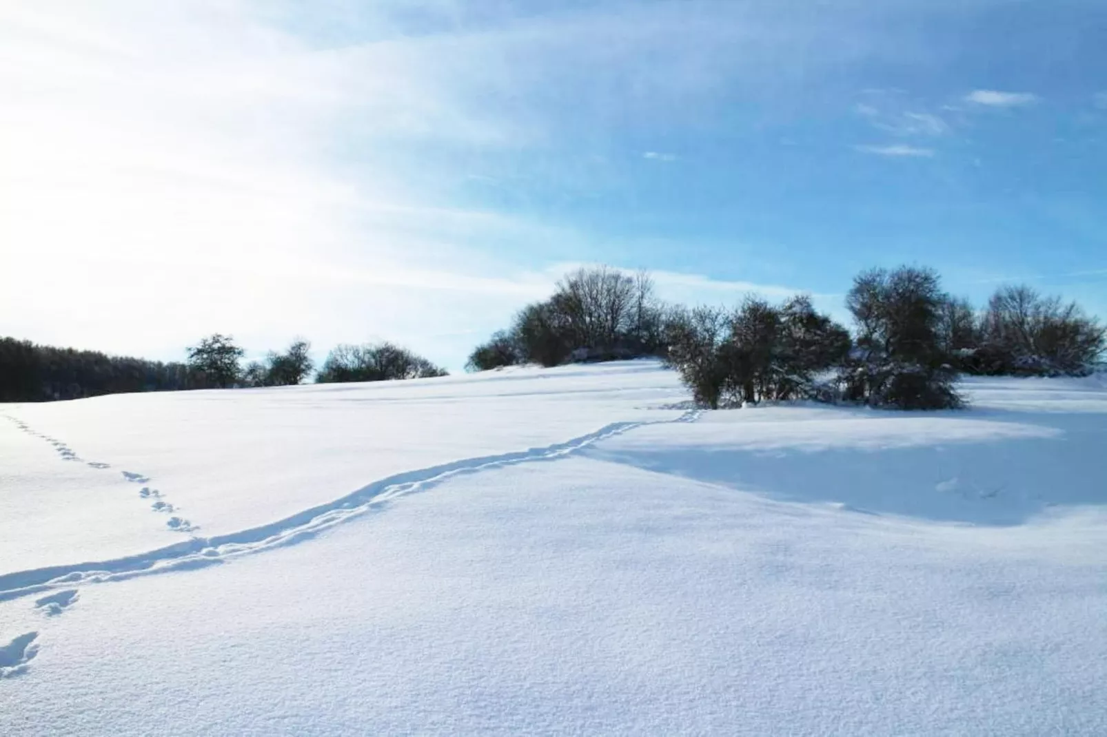 Modernes FERIENHAUS ALLRODE mit Wellness - Gebied winter 1km