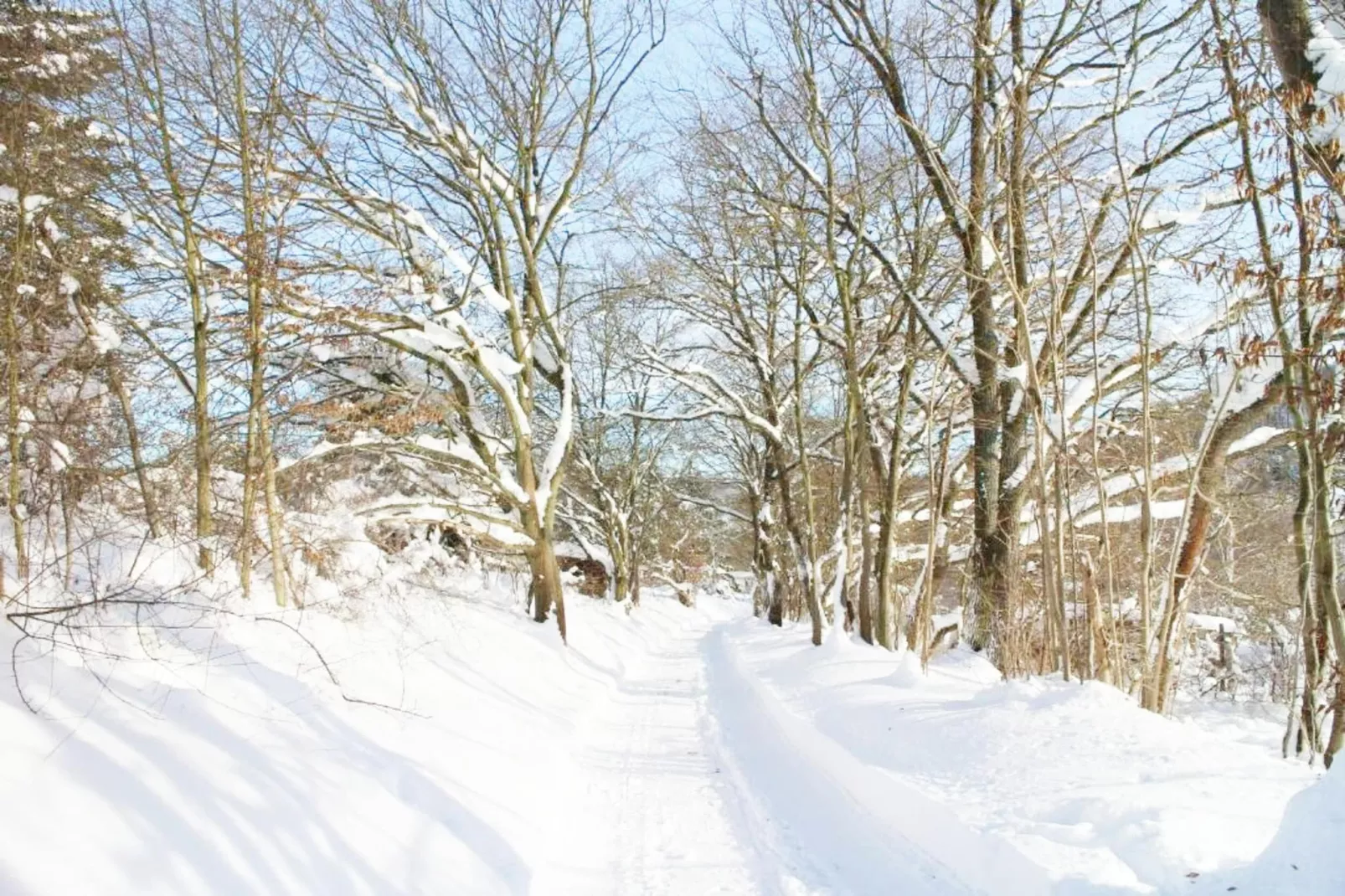 Modernes FERIENHAUS ALLRODE mit Wellness - Gebied winter 1km