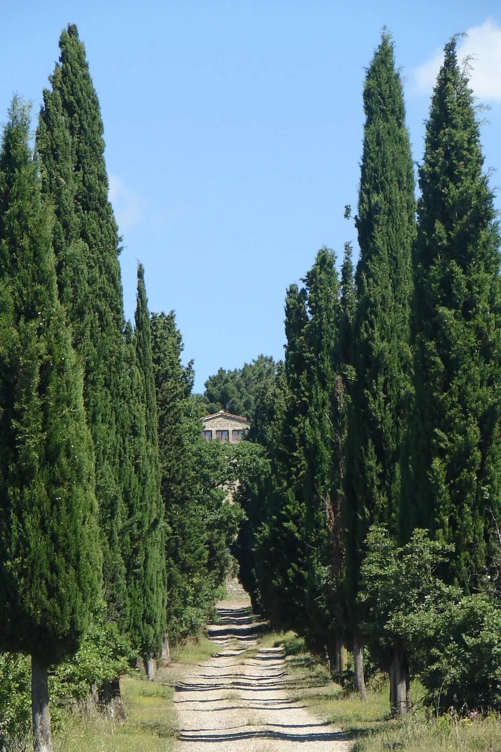 Für sieben Personen mit tollem Blick auf die Hügel des Chianti - Buiten