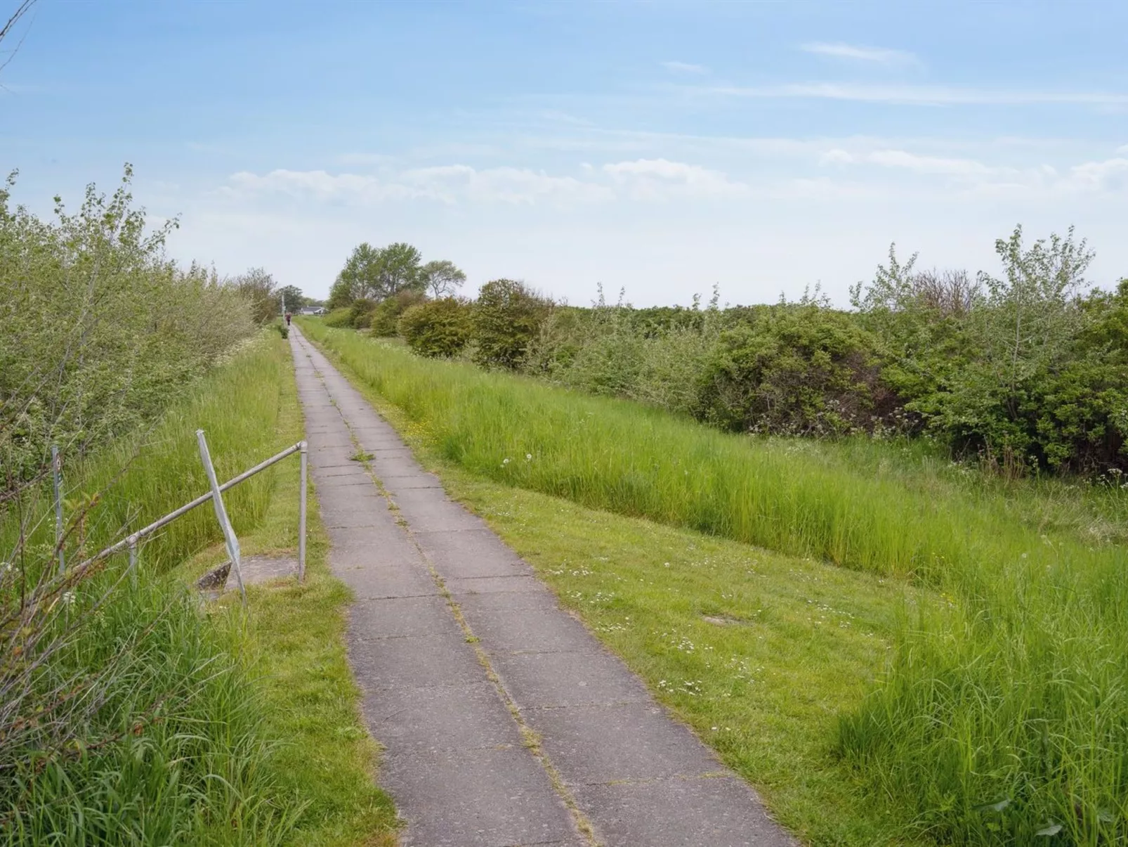 "Quanna" - 50m from the sea - Buiten