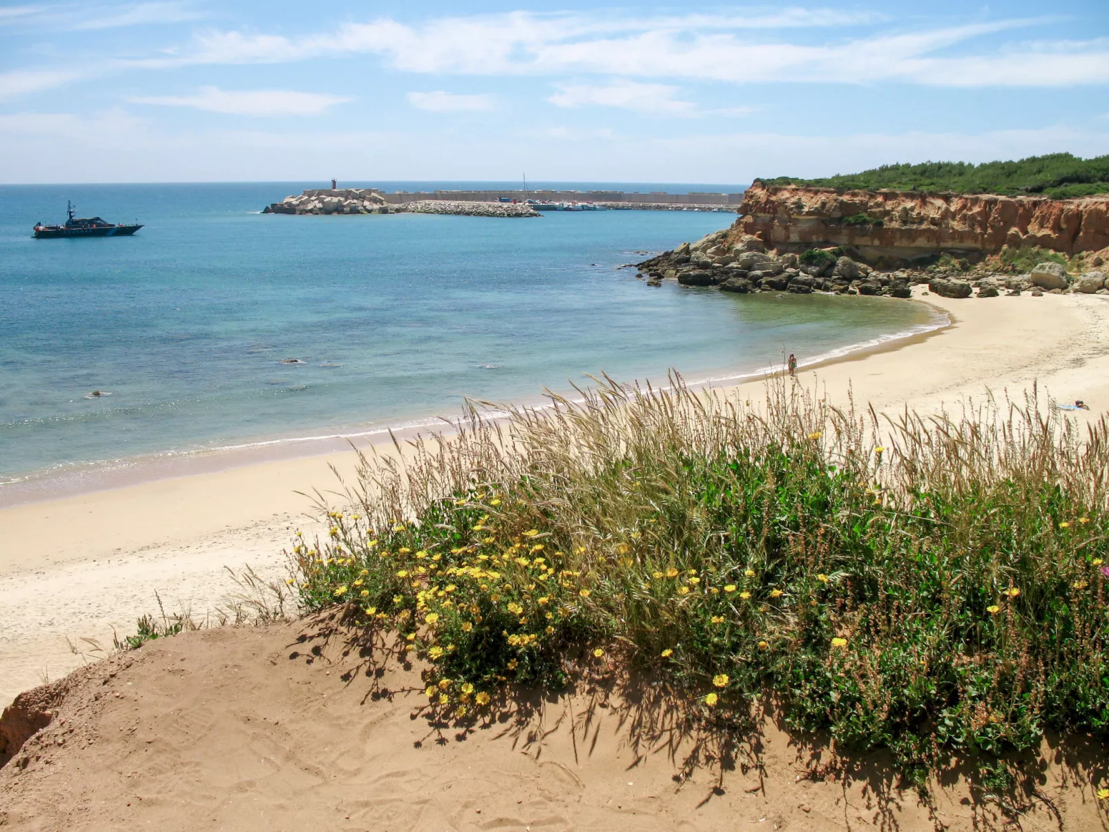 In Conil De La Frontera mit gemeinsamem Pool, Grill und Garten - Omgeving