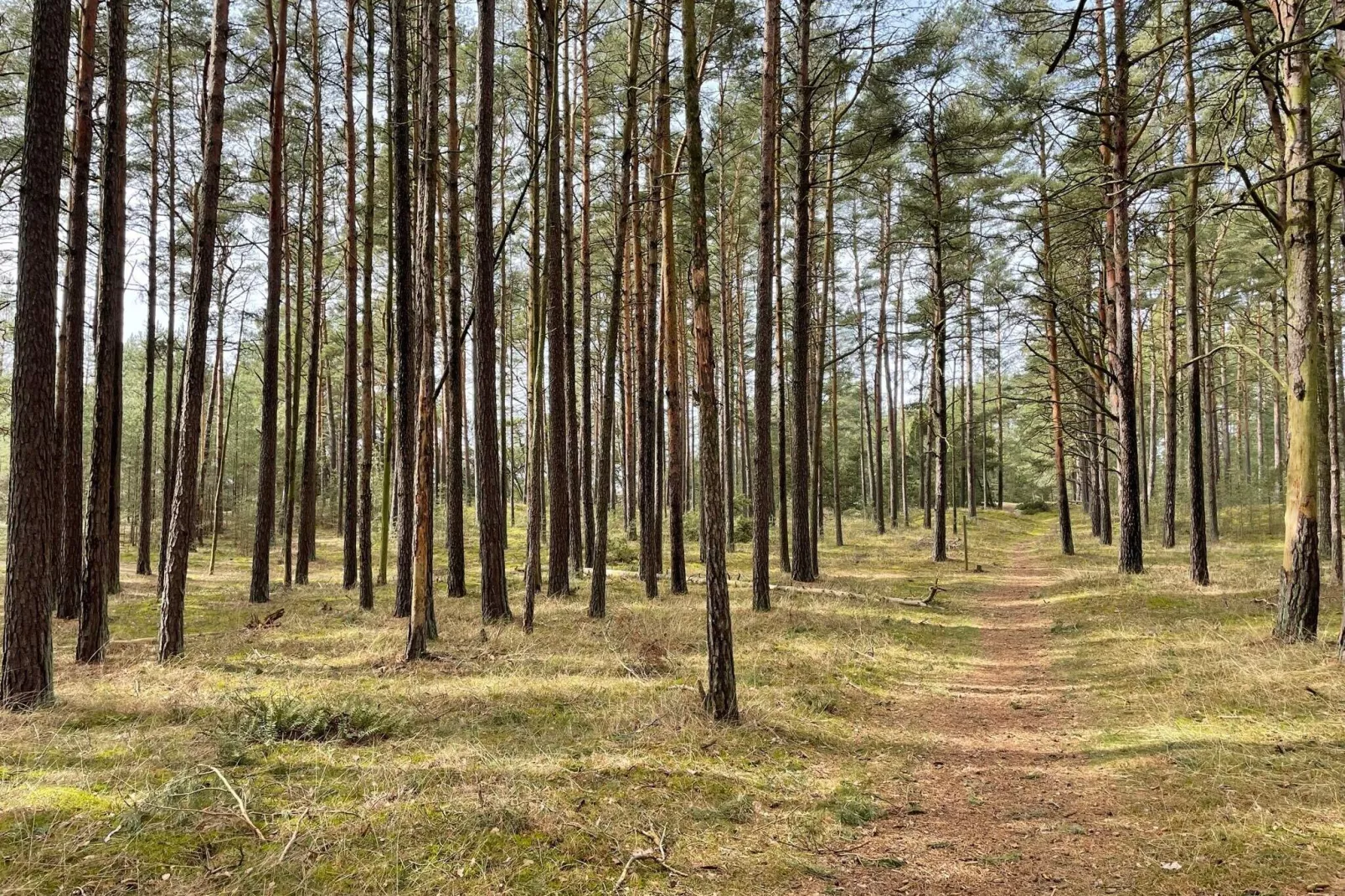 4 sterren vakantie huis in YNGSJÖ-By Traum-Binnen