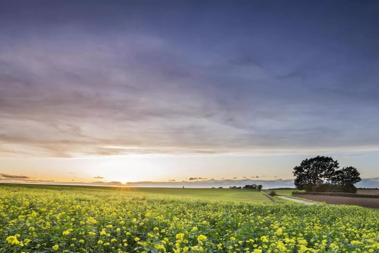 Heers Boven - Gebieden zomer 5km