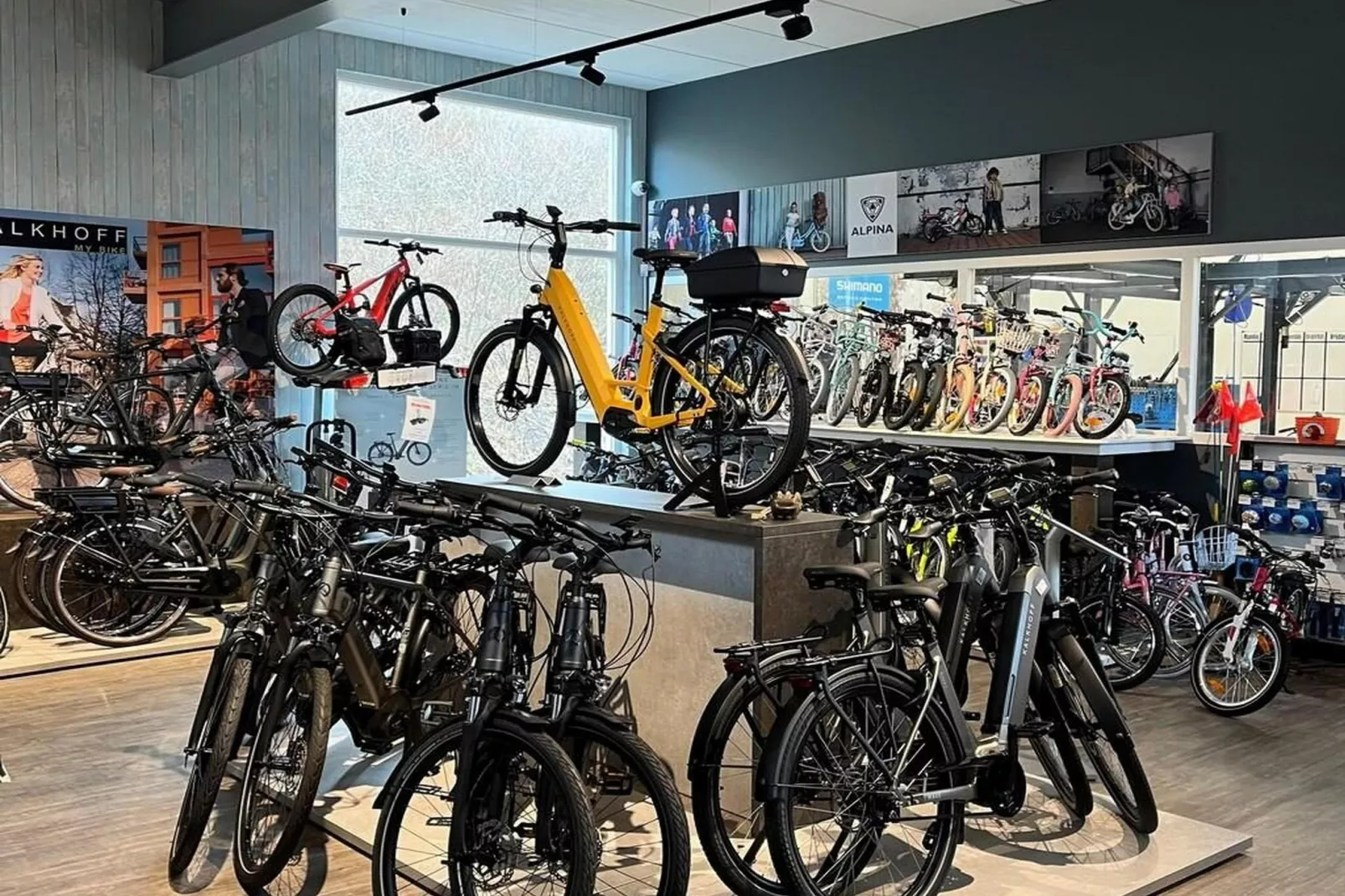 Schoneveld 327 Stern Breskens - Gebieden zomer 1km