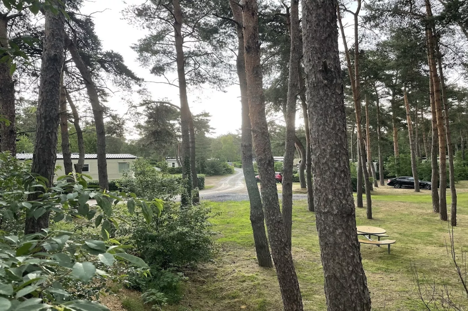 L'Ecureuil - Gebieden zomer 1km
