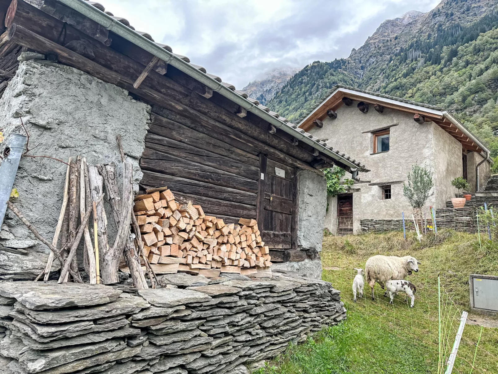 Waterfall House - Buiten