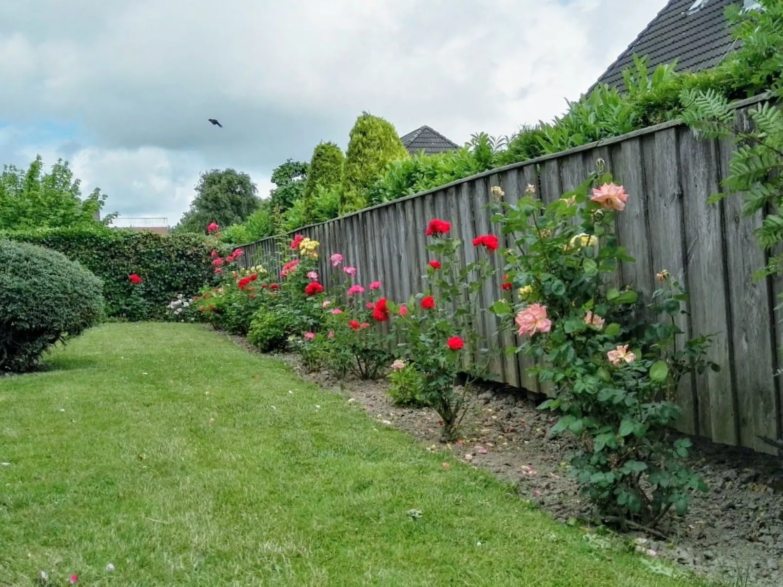 Haus Meeresbrise Wohn. Nr. 3 mit Balkon - Buiten
