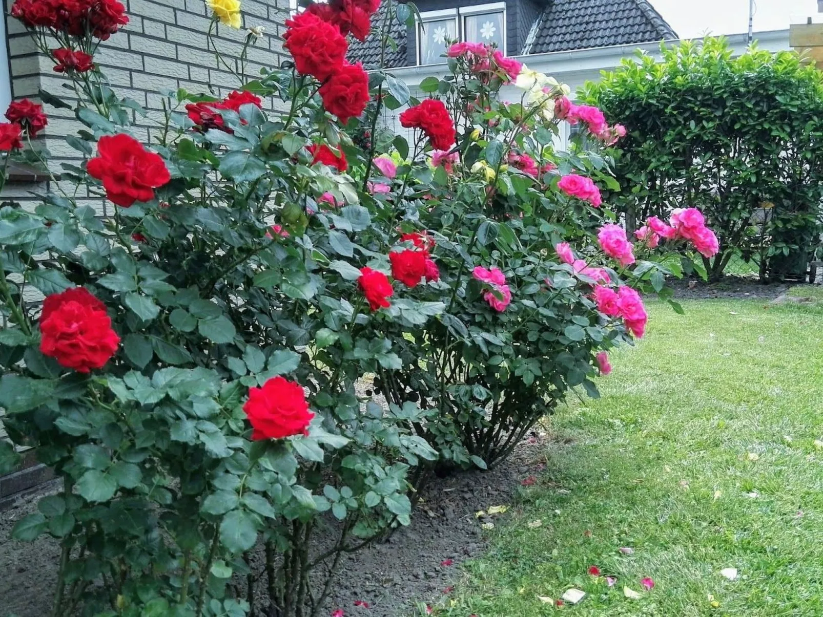 Haus Meeresbrise Wohn. Nr. 3 mit Balkon - Buiten