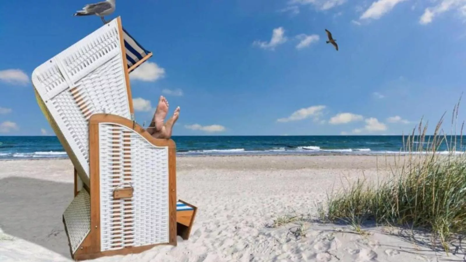 Lee - Gebieden zomer 20km