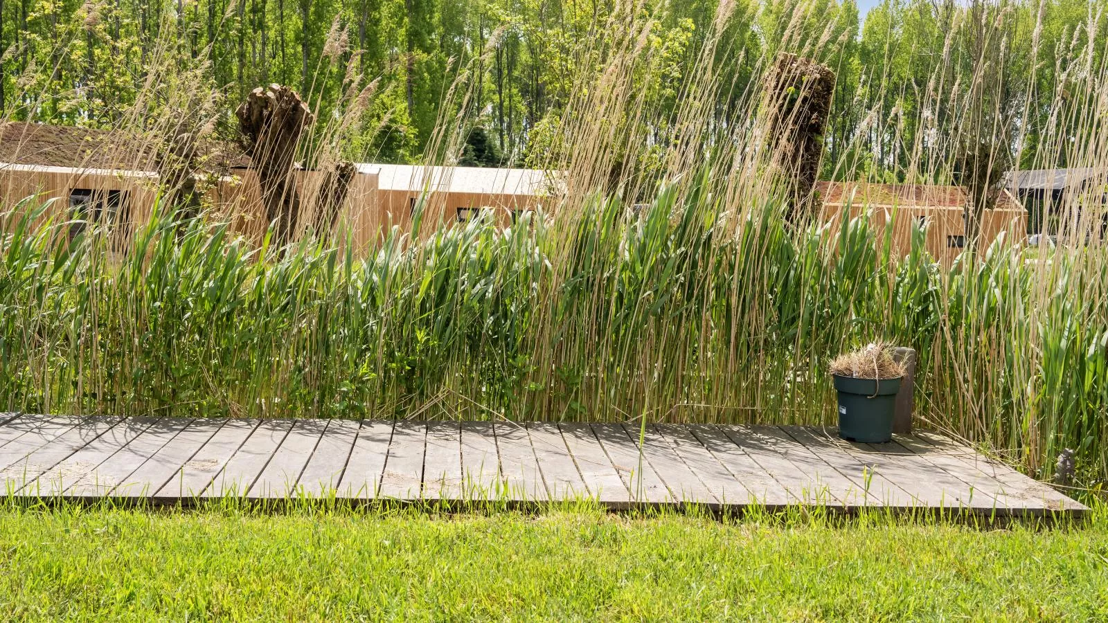 Strand - Tuinen zomer