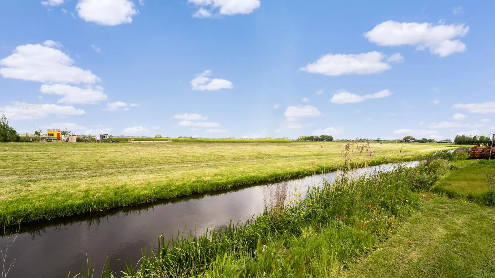 Bollen - Uitzicht zomer