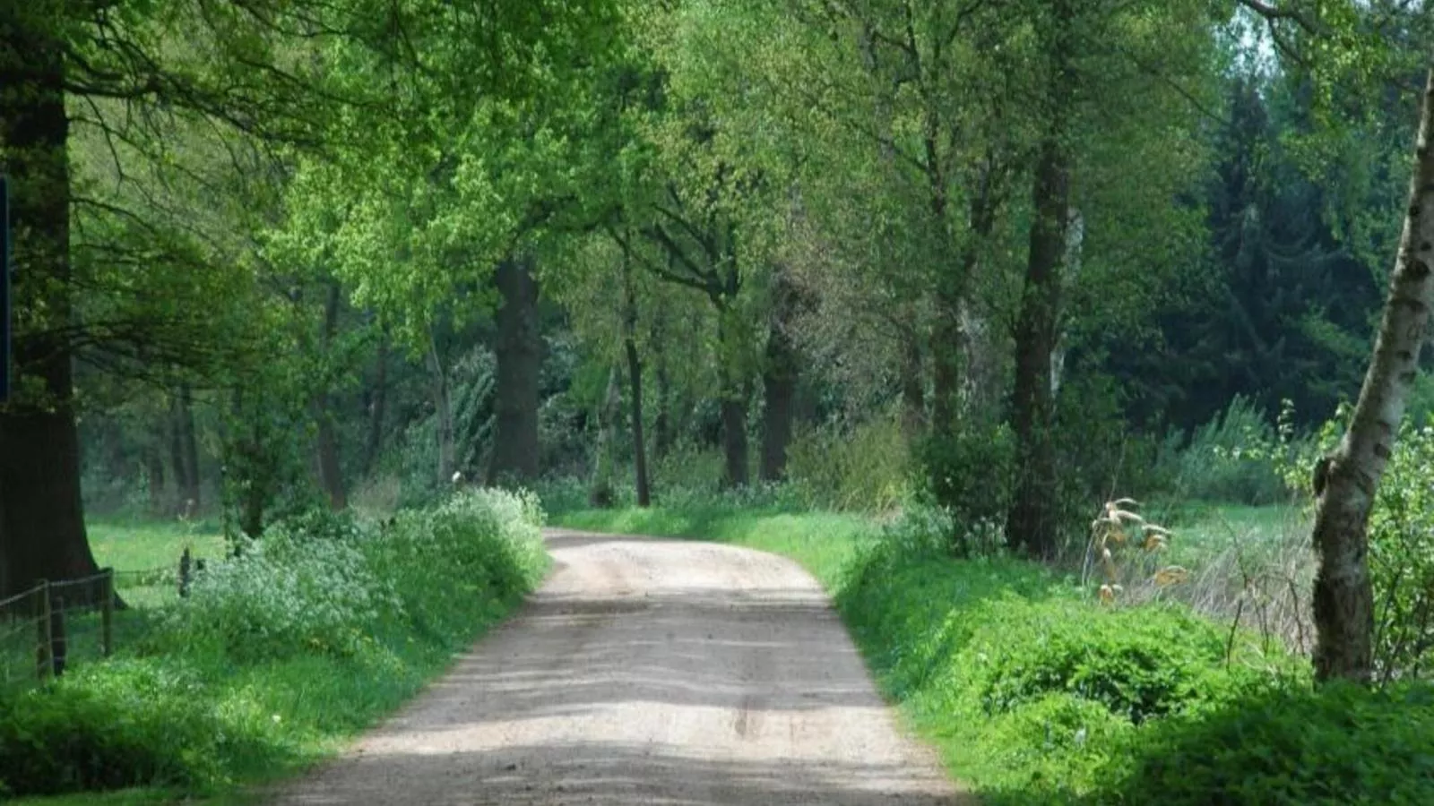 Huus in t Hagt - Gebieden zomer 1km