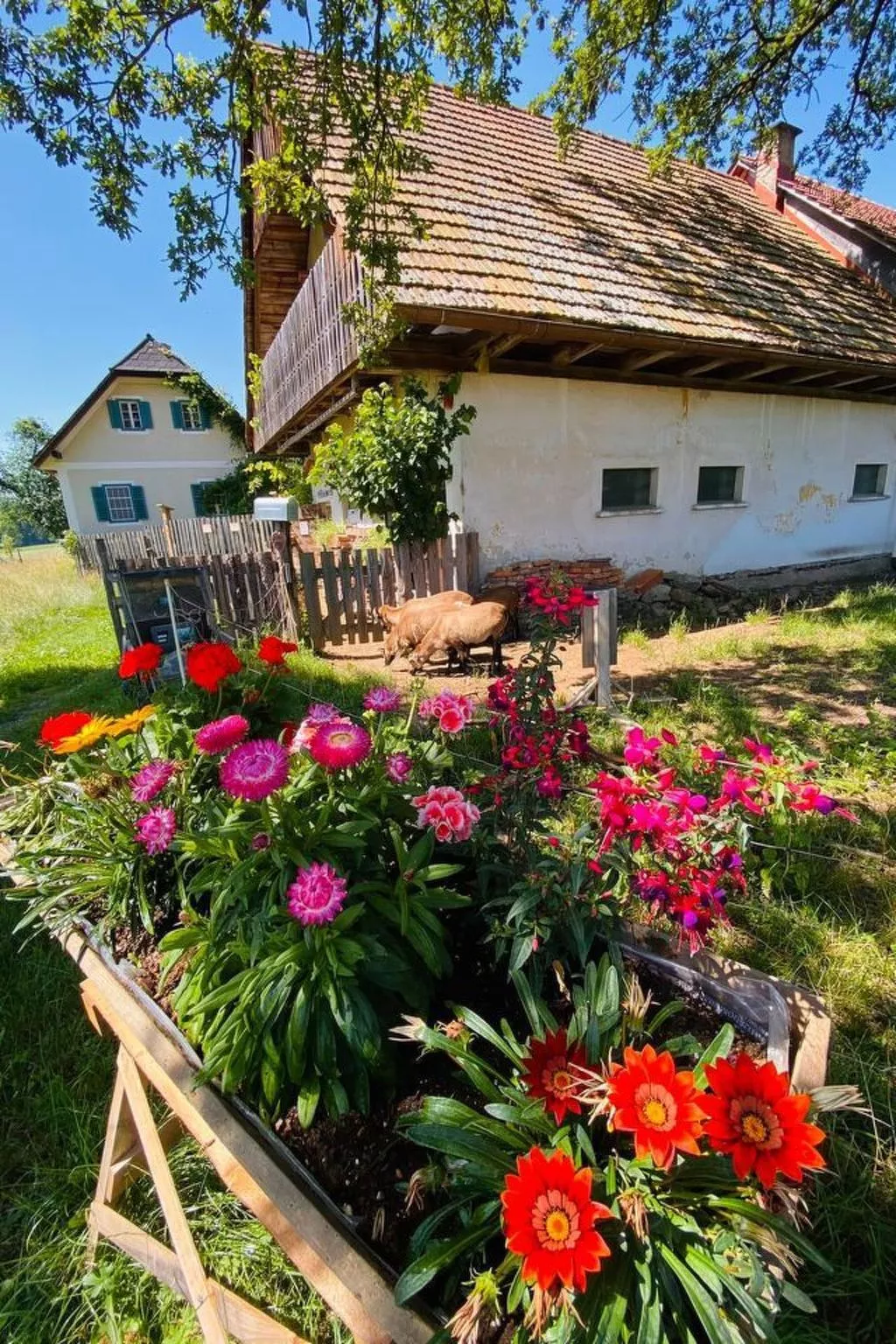 Kellerstöckl am veganen Bio-Lebenshof - Varm - the vegan Farm - Buiten