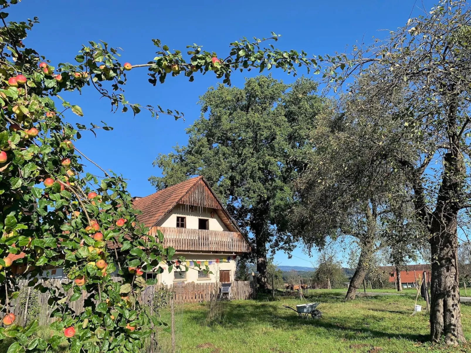 Kellerstöckl am veganen Bio-Lebenshof - Varm - the vegan Farm - Buiten