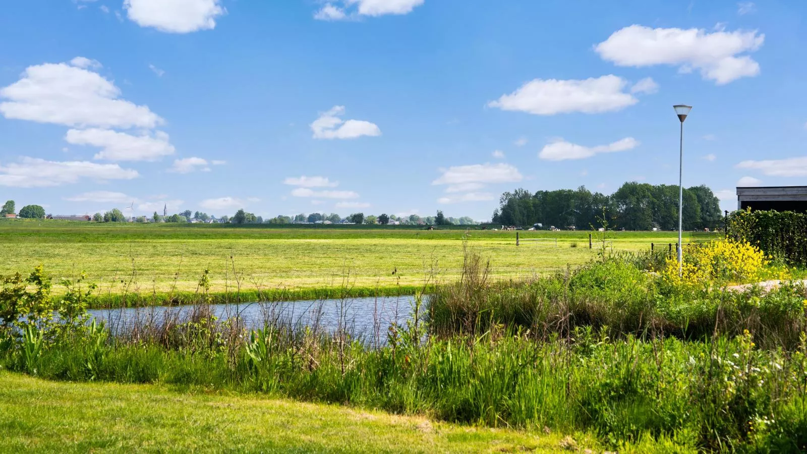 Leiden - Uitzicht zomer