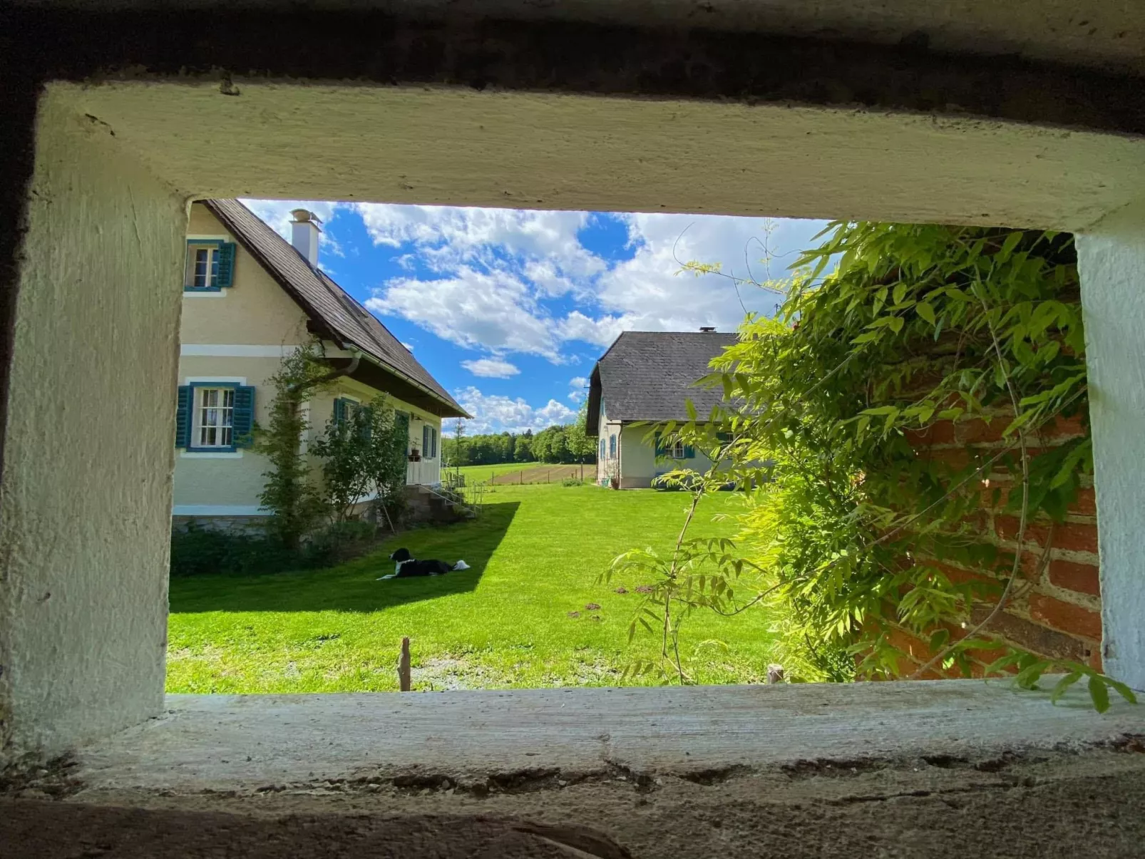 Kellerstöckl am veganen Bio-Lebenshof - Varm - the vegan Farm - Buiten