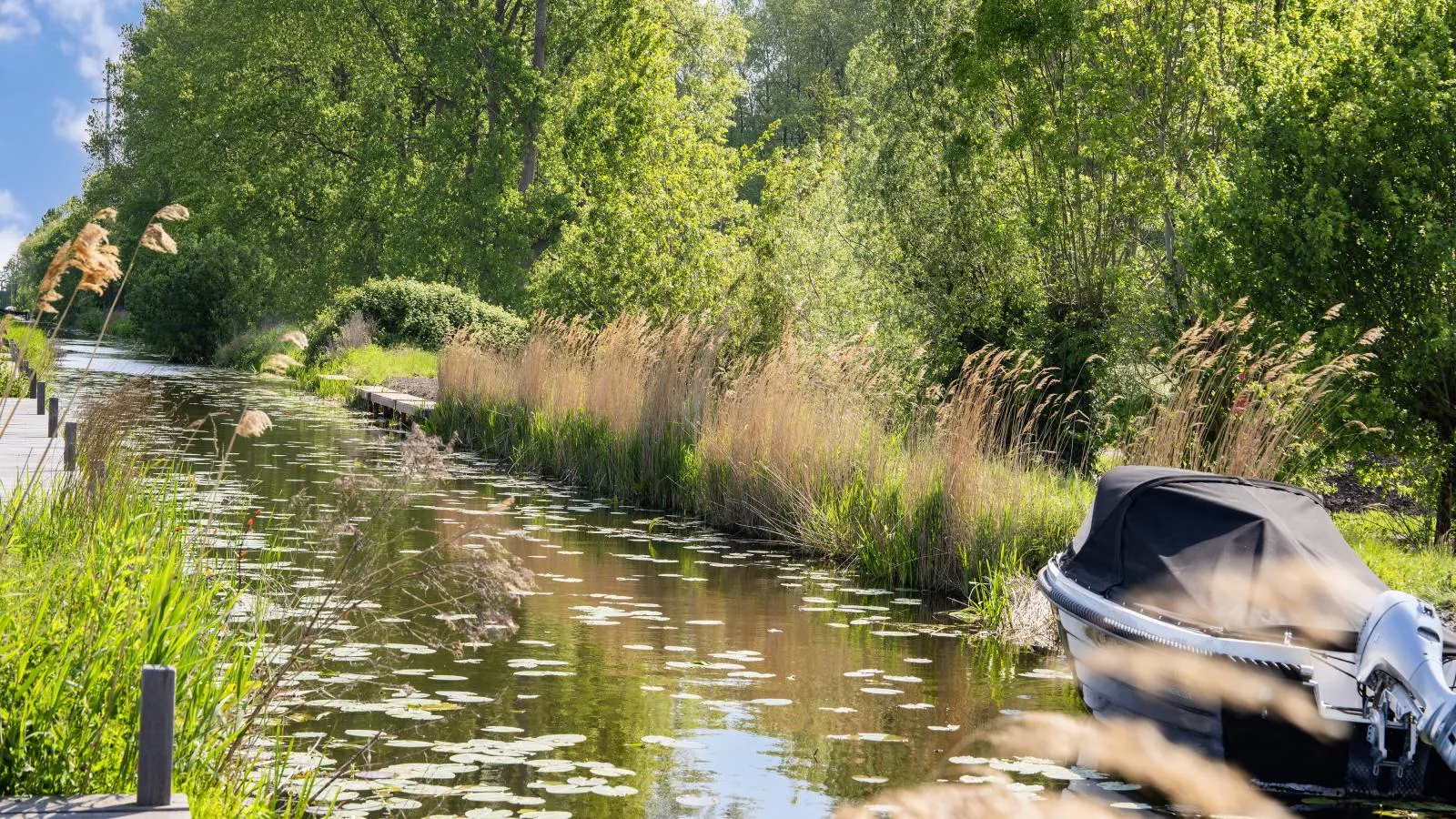 Leiden - Uitzicht zomer