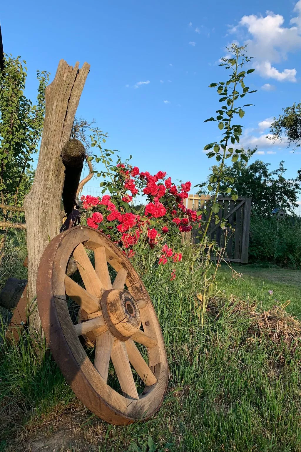 Kellerstöckl am veganen Bio-Lebenshof - Varm - the vegan Farm - Buiten