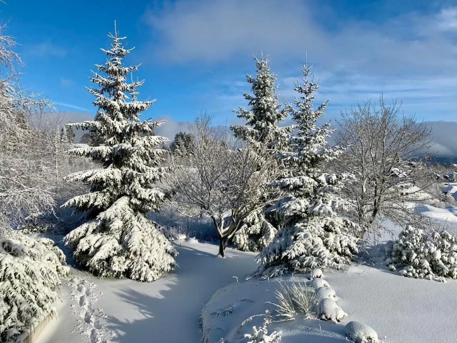 Haus Schneekappe - Buiten