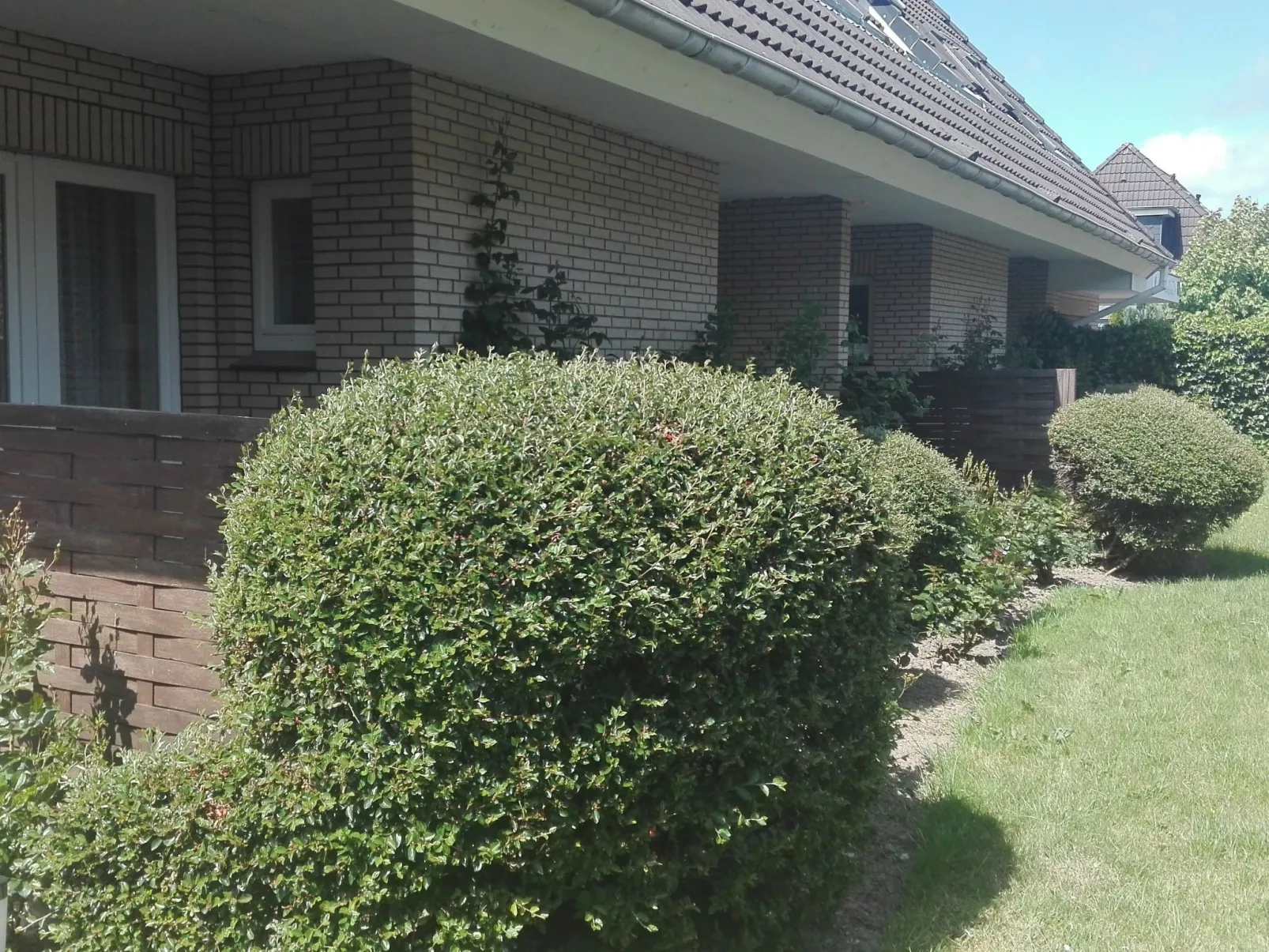 Haus Meeresbrise Wohn. Nr 5 mit Terrasse (copy) - Buiten