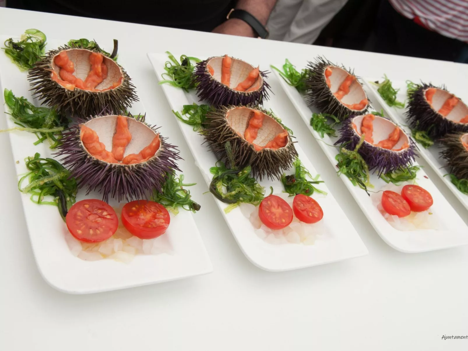 Aiguablava - Omgeving