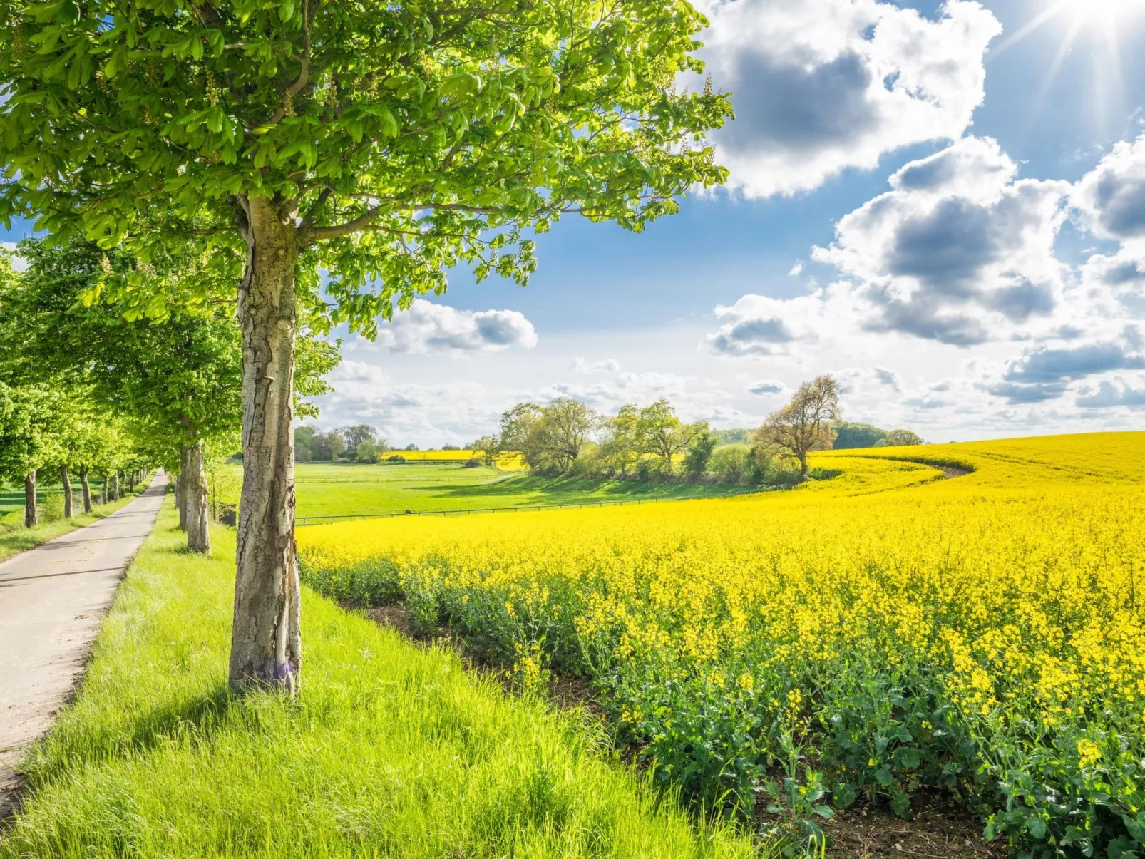 Hey Beachvilla - Buiten