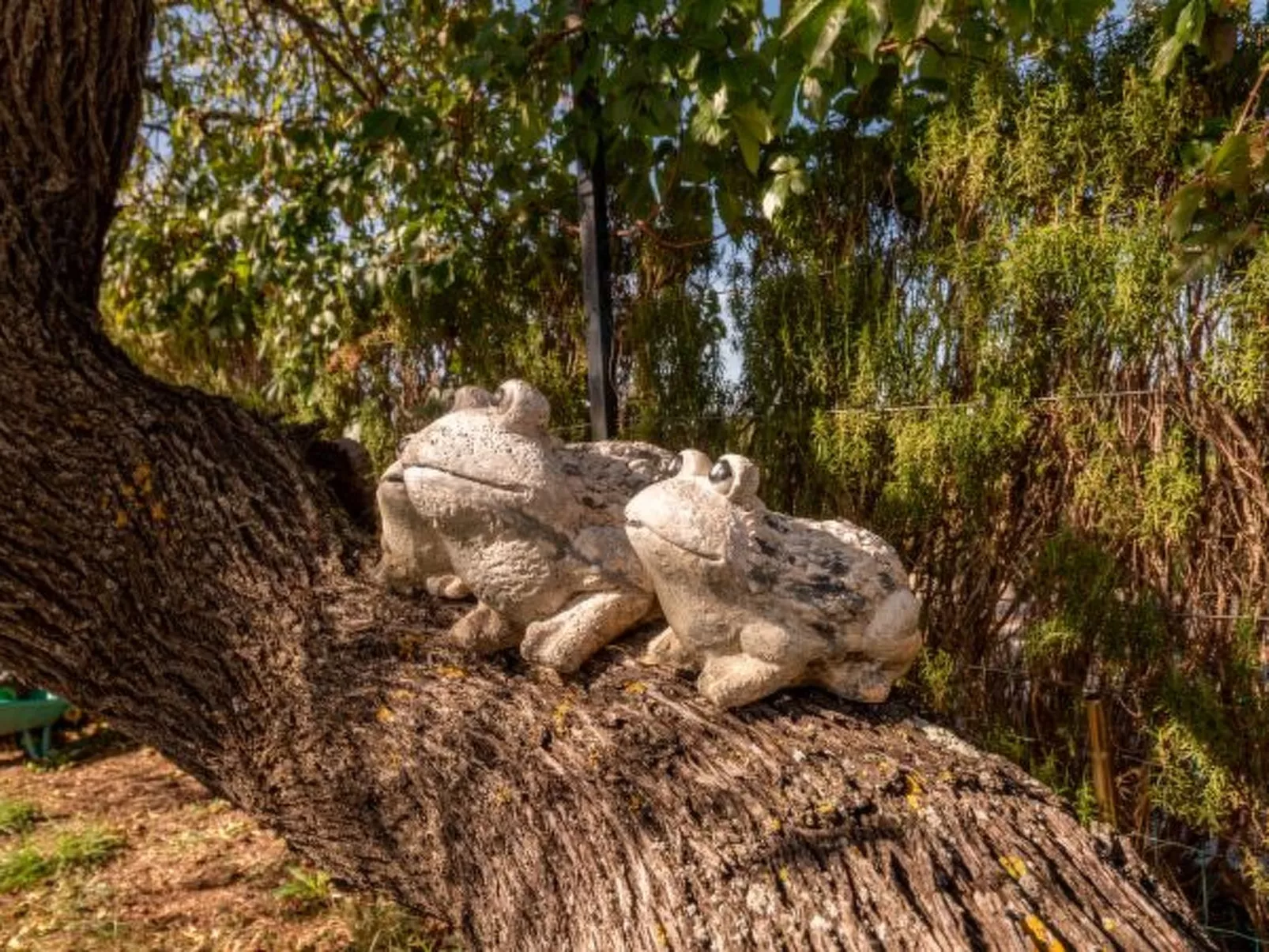 Villa Serena with pool - Image-tags.info