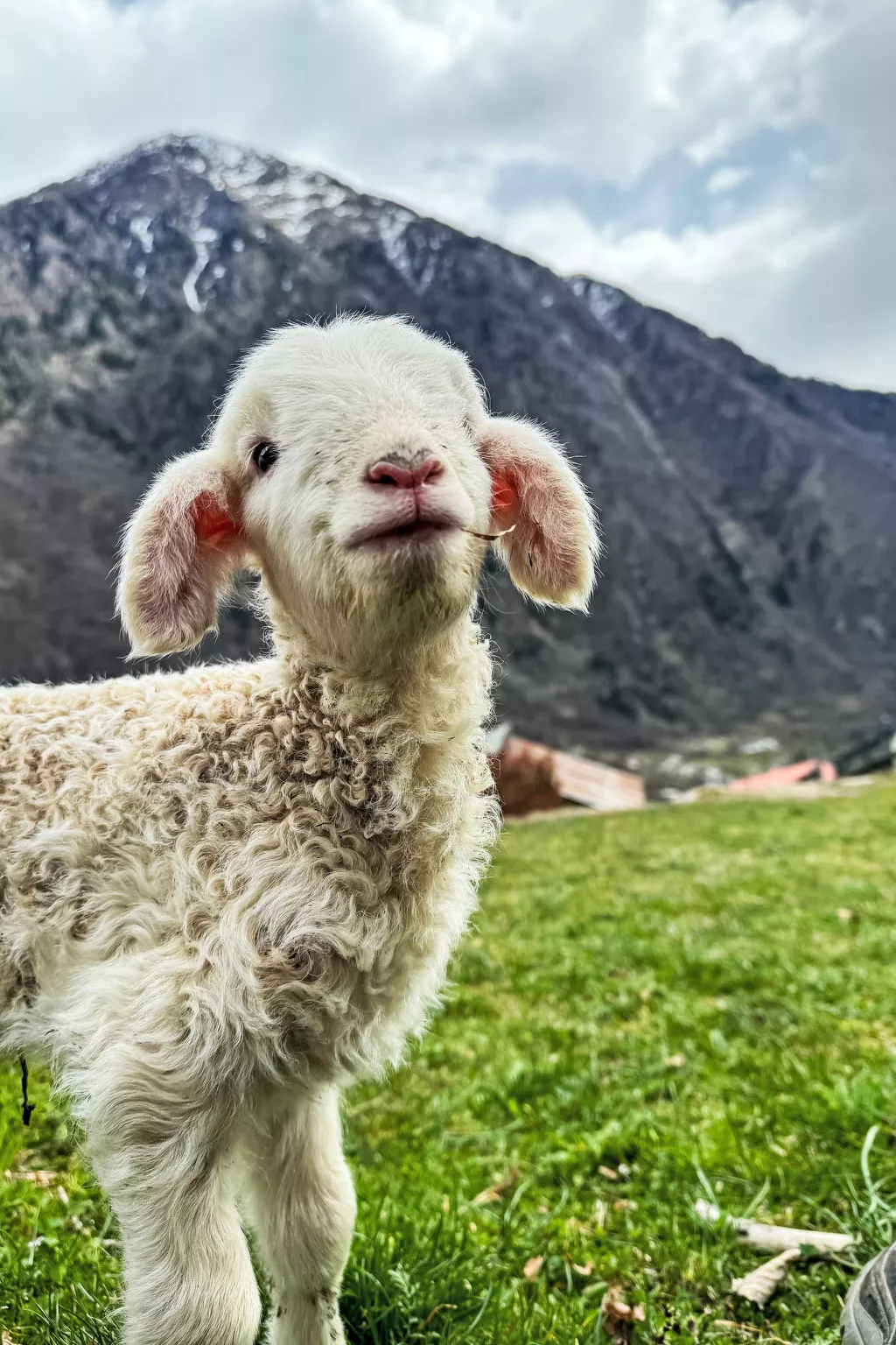 Chalet 'Casa al Pozzo' mit Bergblick - Buiten