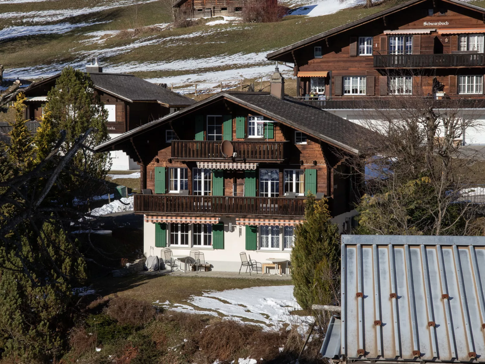 Chalet Spassvogel - Buiten