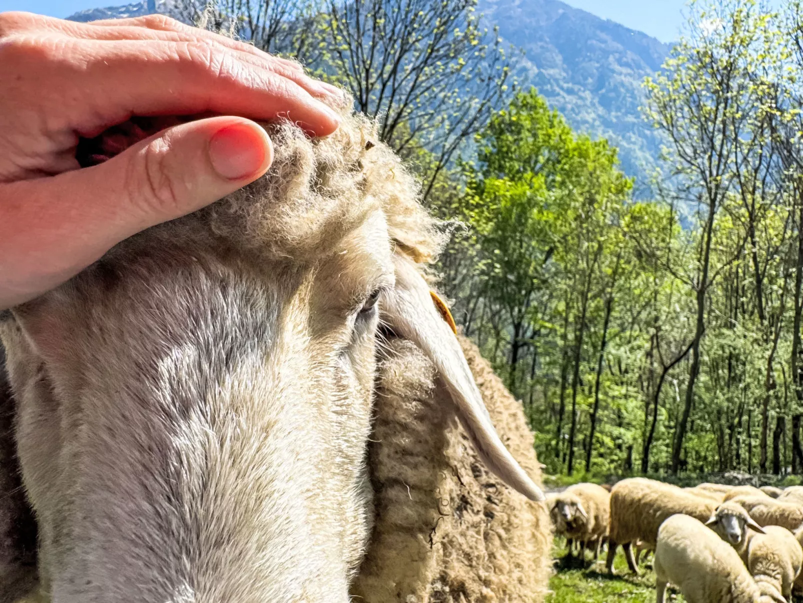 Chalet 'Casa al Pozzo' mit Bergblick - Buiten
