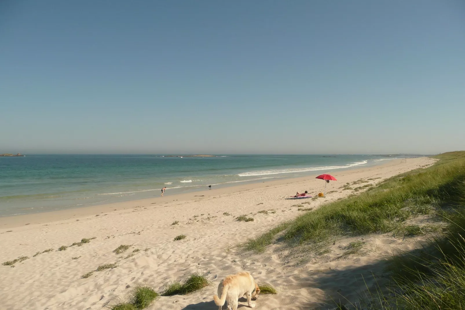 Ferienhaus in Strandnähe Guissény - Gebieden zomer 1km