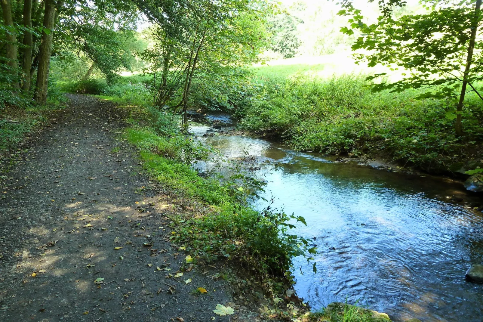 Apartment für Monteure Bad Camberg - Gebieden zomer 5km