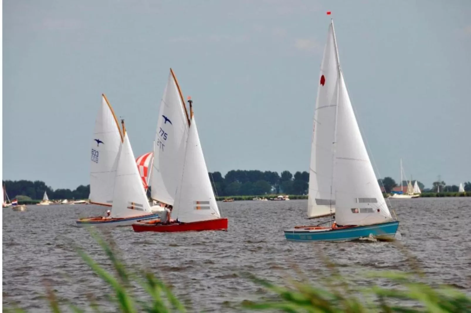 De Stevenshoek - Gebieden zomer 20km