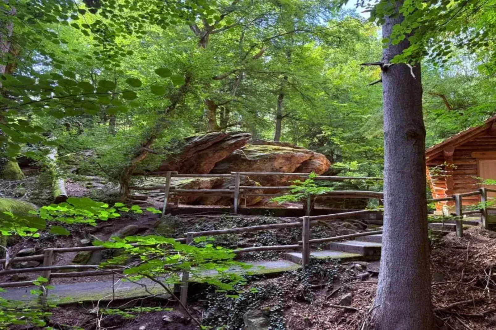 Apartment für Monteure Bad Camberg - Gebieden zomer 20km